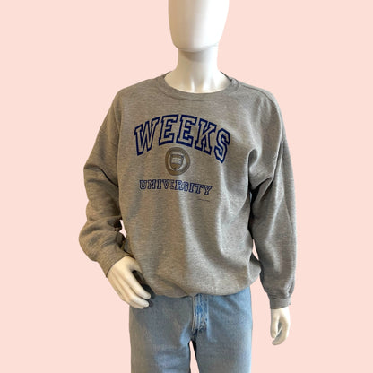 Ultra Blend USA University Sweatshirt XL Grau