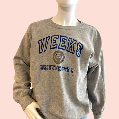 Ultra Blend USA University Sweatshirt XL Grau