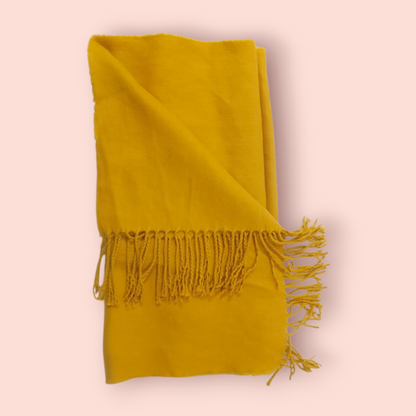 Schal mit Fransen