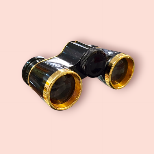 Swarovski Optik Fernglas
