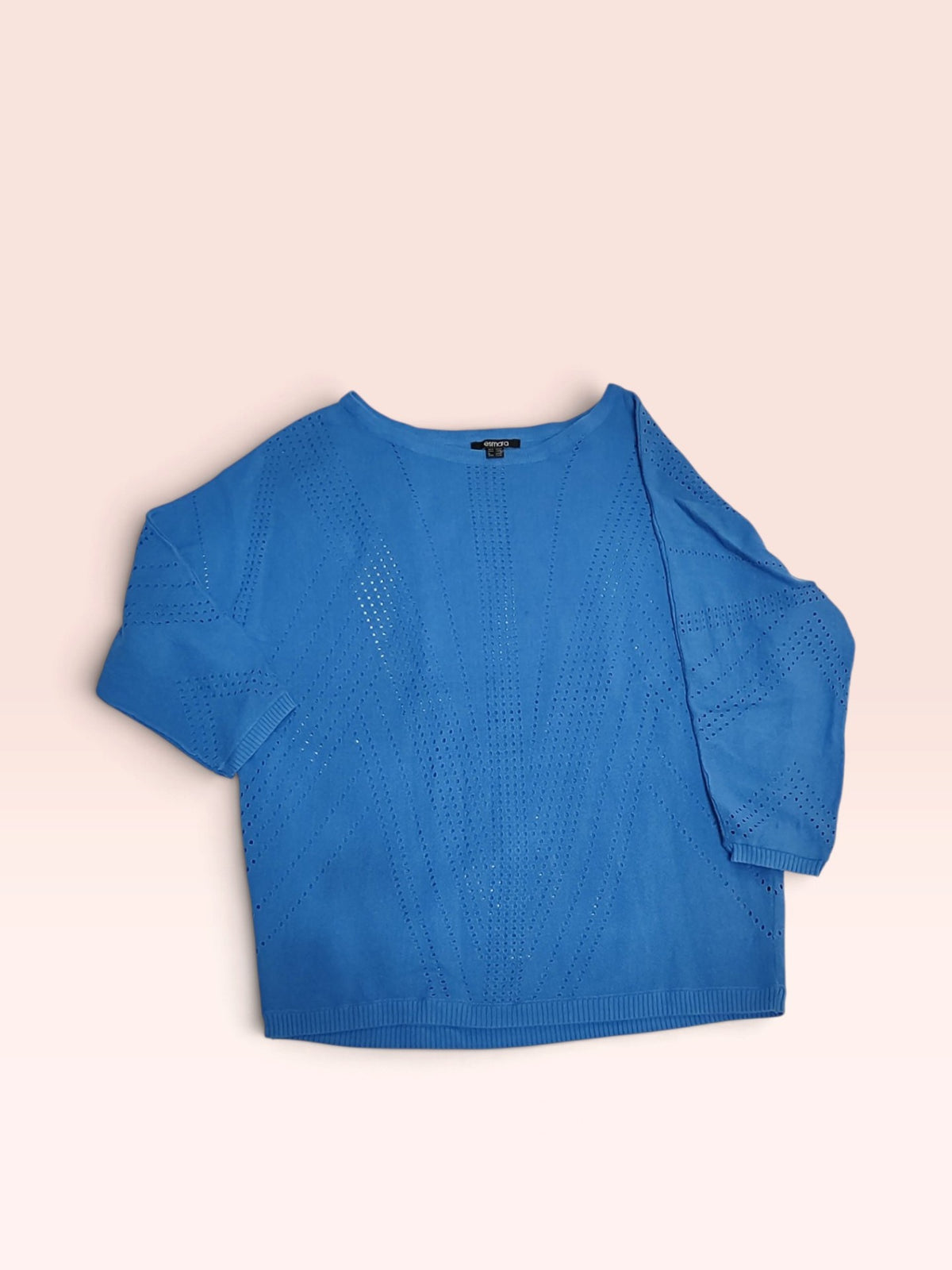 Esmara Pullover L Blau